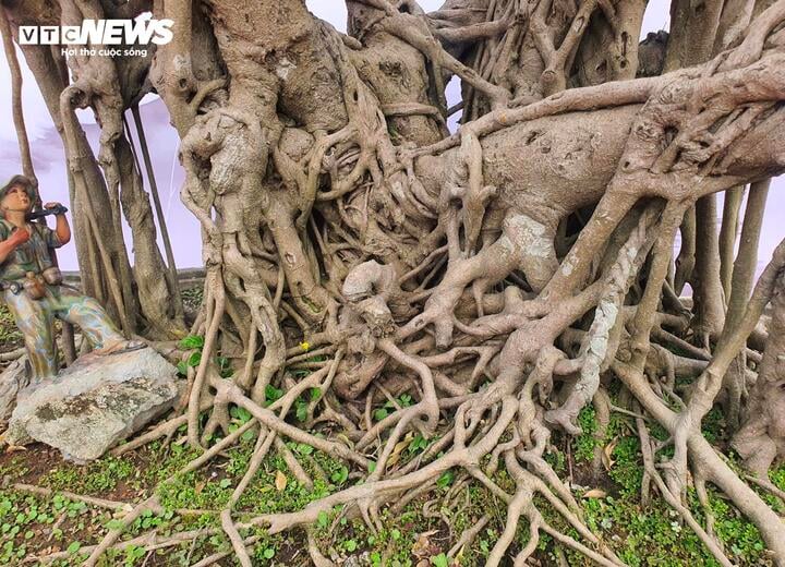 Chiêm ngưỡng ‘siêu cây’ của nghệ nhân Hà Nội, trả bao nhiêu tiền cũng không bán - Ảnh 6.