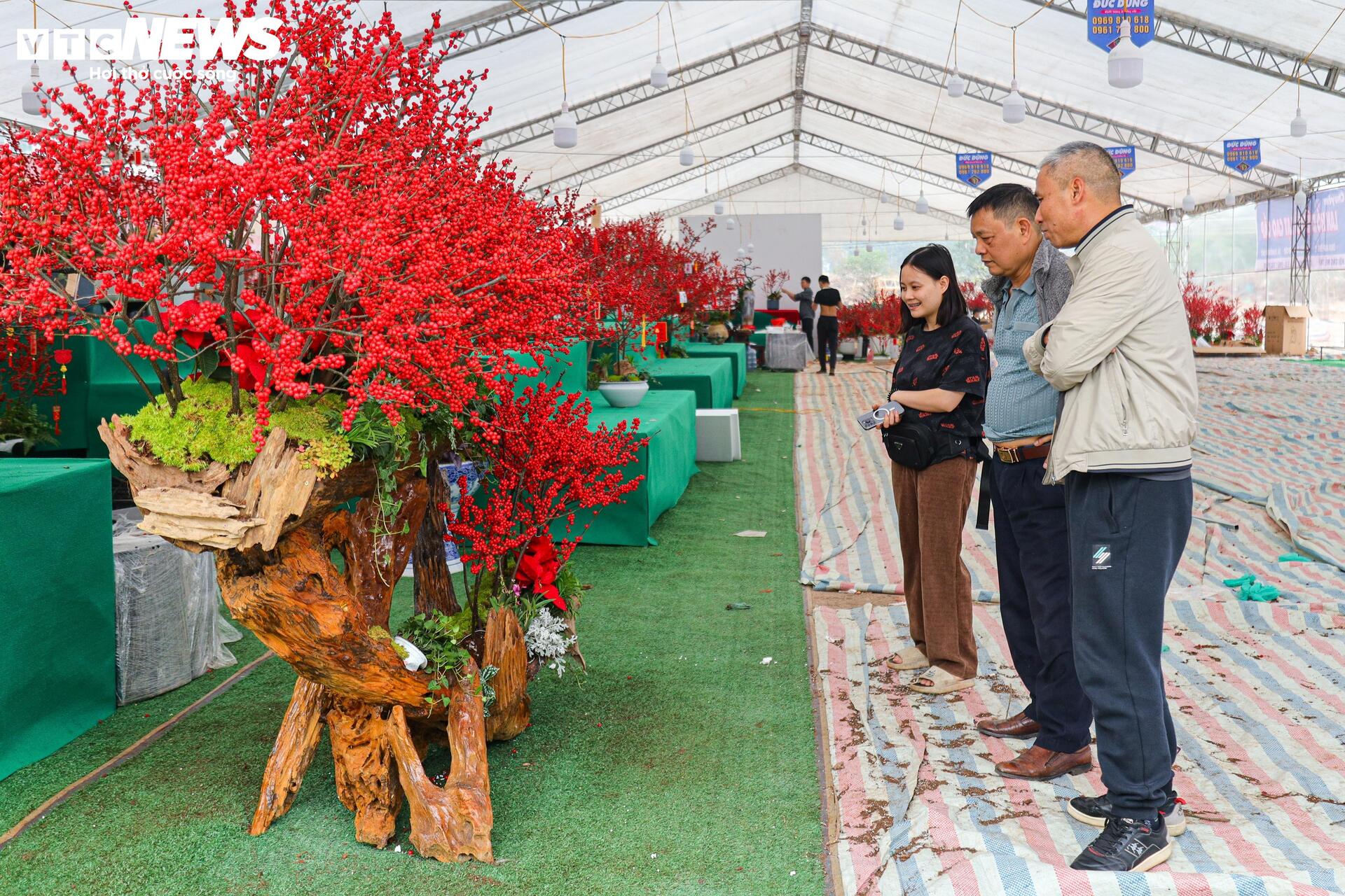 Hoa nhập độc lạ giá trăm triệu đồng, thú chơi Tết mới của nhà giàu Hà Nội - Ảnh 21.