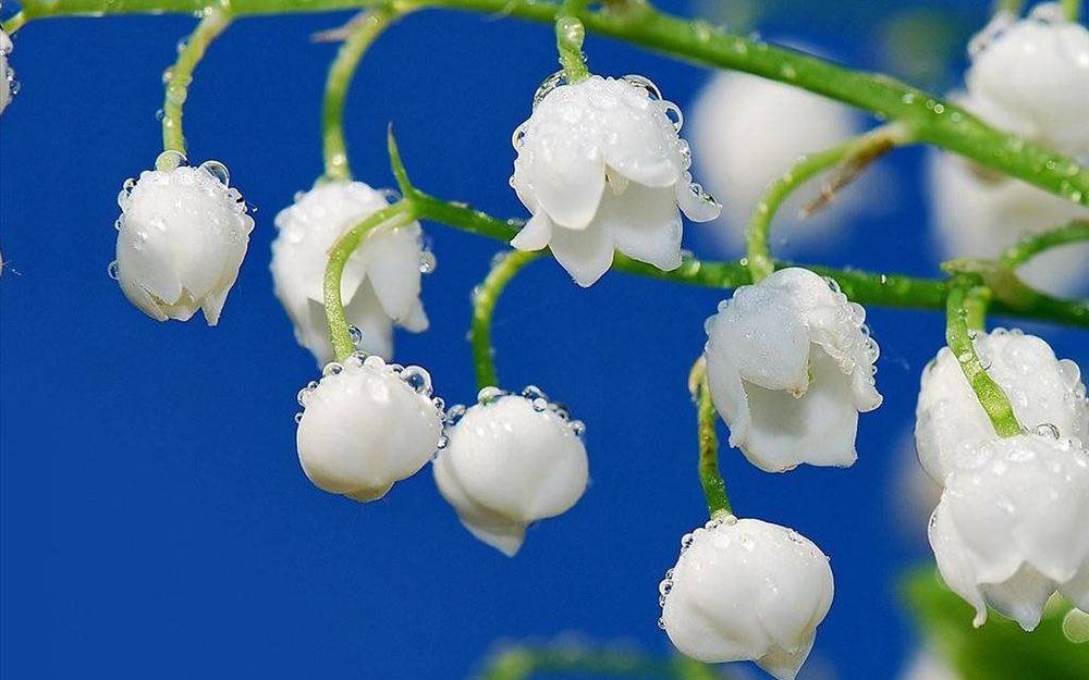 Số cuối ngày sinh Âm lịch của người giỏi giang: Giống như rượu ngon, càng để lâu càng thơm