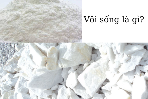 dung-voi-song-hut-am-1760068073423976462653.png