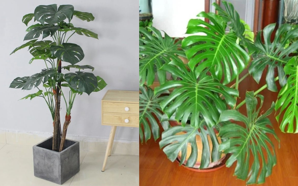 Bí quyết phong thủy kiến tạo không gian sống hạnh phúc - Ảnh 5.