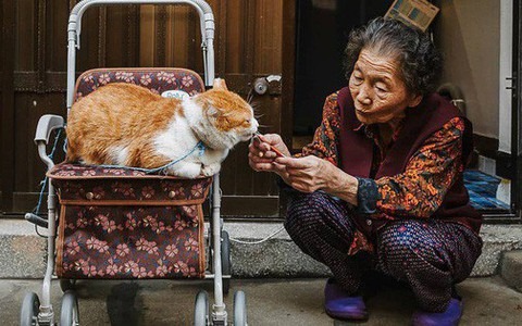 4 'quy luật nhân quả' trong giáo dục con giúp bạn biết trước được tuổi già thảnh thơi hay cô đơn