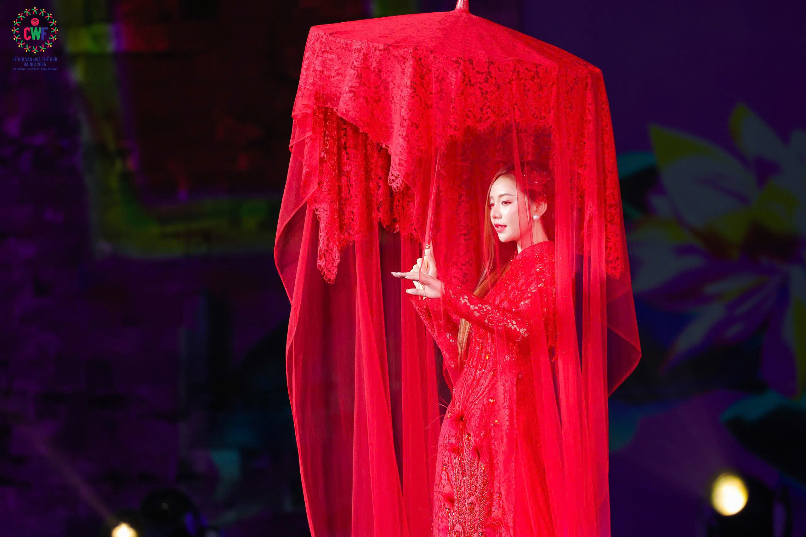 Lễ hội Văn hóa thế giới tại Hà Nội - Ảnh 2.