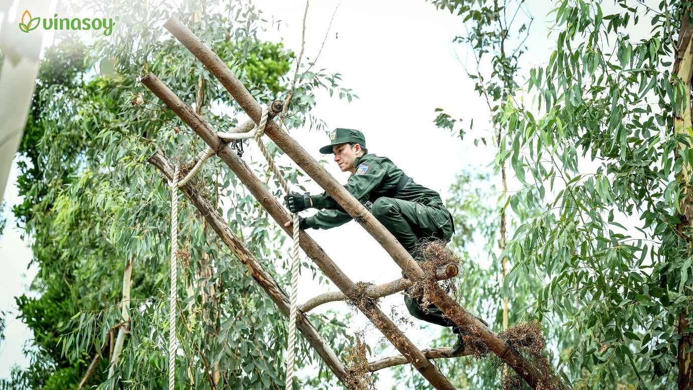 - Ảnh 2. - Ảnh 2.