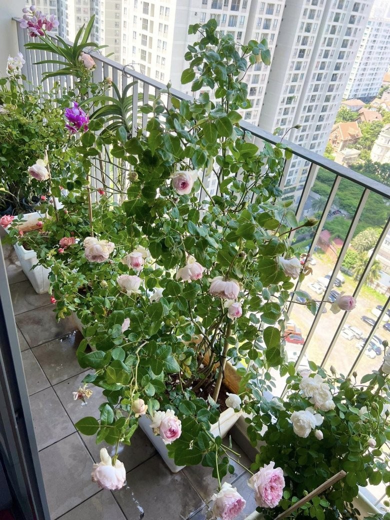 Lý Quí Khánh và nghệ thuật cắm hoa tại gia tộc giàu có nhất Việt Nam - Ảnh 11. Lý Quí Khánh và nghệ thuật cắm hoa tại gia tộc giàu có nhất Việt Nam - Ảnh 11.