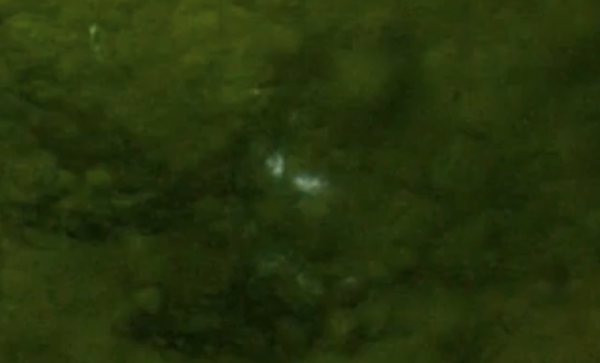 Bí ẩn về những ánh sáng ma quái ám ảnh chúng ta trong nhiều thế kỷ đã được giải đáp- Ảnh 2.