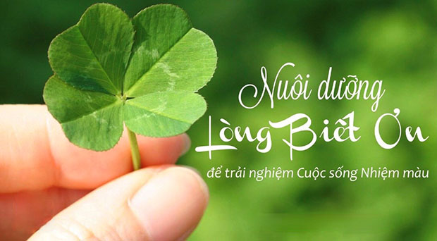Dạy con lòng biết ơn: Cả đời sau cha mẹ không phải hối tiếc, con cái sống hạnh phúc hơn - Ảnh 2. Dạy con lòng biết ơn: Cả đời sau cha mẹ không phải hối tiếc, con cái sống hạnh phúc hơn - Ảnh 2.
