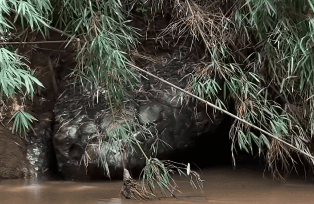 Dòng sông yên ả bỗng dậy sóng vì 'rắn khổng lồ', người dân bàn tán khiến phóng viên đến tận nơi xác minh- Ảnh 4.