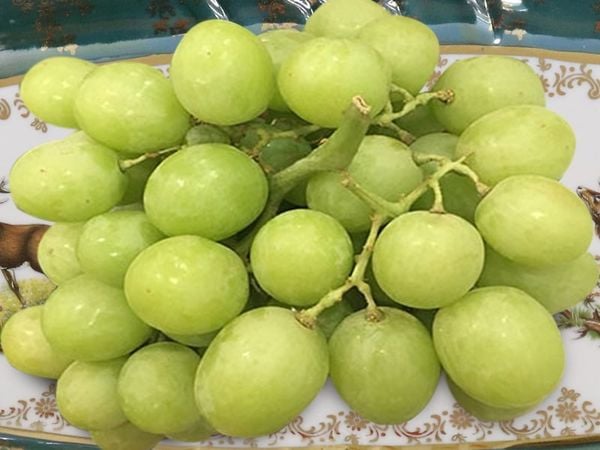 Ăn nho thế nào để không tăng cân, tốt cho sức khỏe? - Ảnh 1. Ăn nho thế nào để không tăng cân, tốt cho sức khỏe? - Ảnh 1.