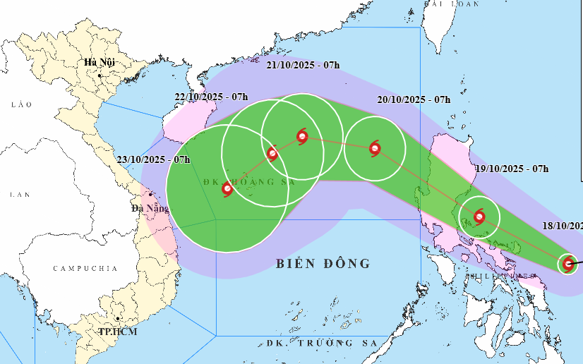 bao-bao-so-12a-17607635294092071833301-145-209-661-1035-crop-1760763547000732639505.png