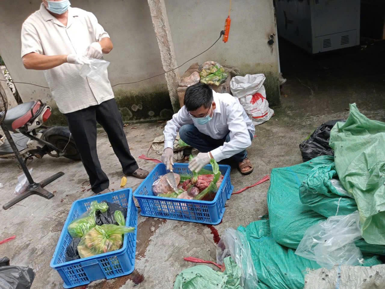 Mua lợn nhiễm dịch tả Châu phi về mổ bán kiếm lời - Ảnh 1. Mua lợn nhiễm dịch tả Châu phi về mổ bán kiếm lời - Ảnh 1.