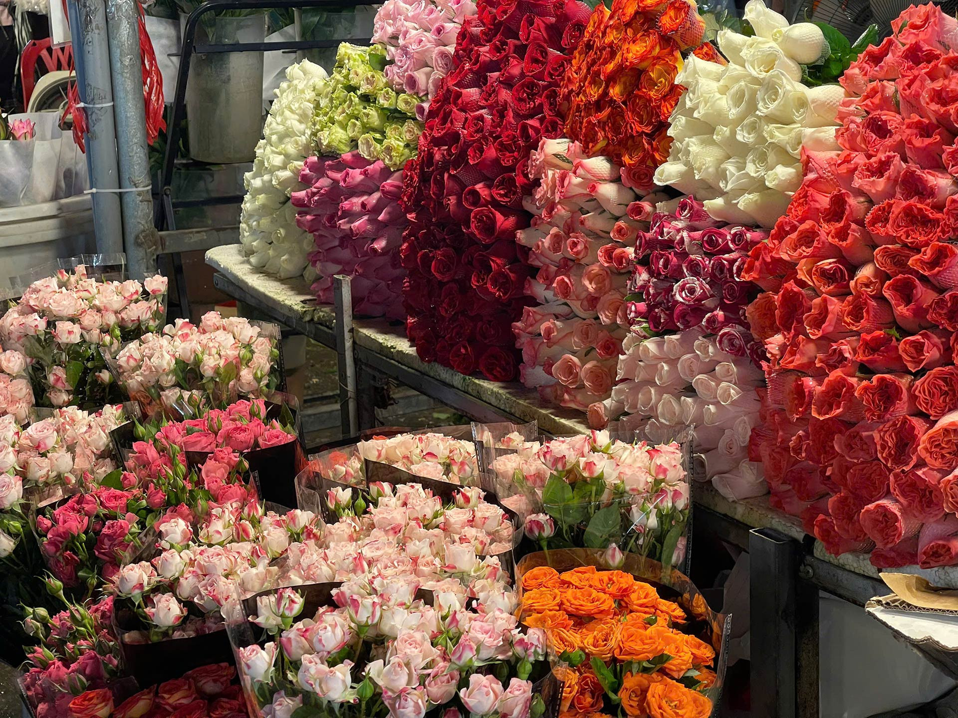 Chợ hoa lớn nhất Hà Nội cận 20/10: Tiểu thương gần như không có thời gian ngủ - Ảnh 4. Chợ hoa lớn nhất Hà Nội cận 20/10: Tiểu thương gần như không có thời gian ngủ - Ảnh 4.