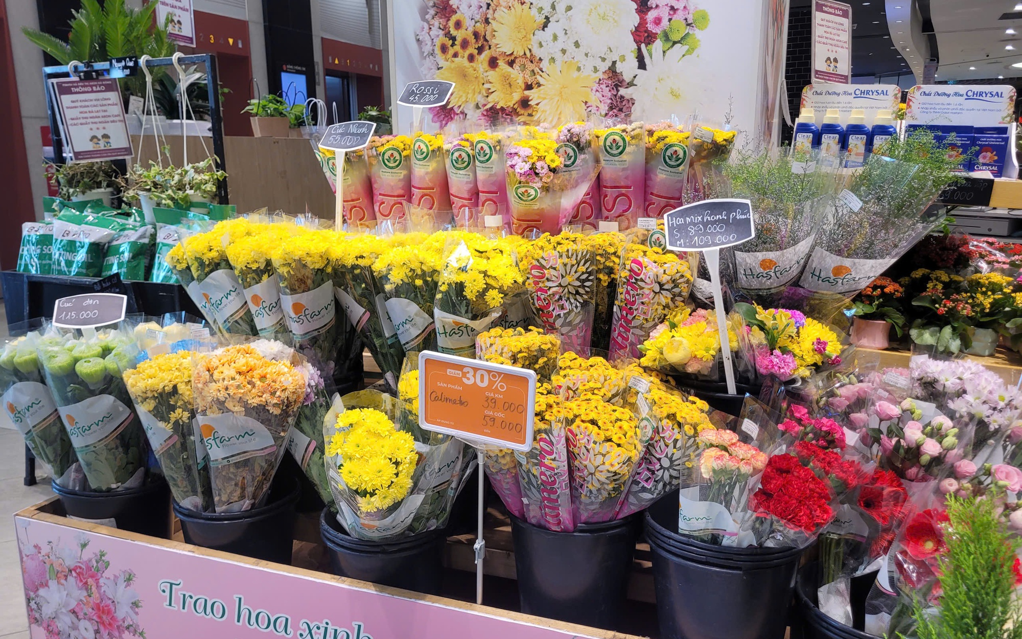 Thị trường quà tặng ngày 20 / 10: Khuyến mãi hóa mỹ phẩm bảo vệ người tiêu dùng - Ảnh 2.