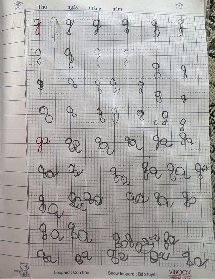  - Ảnh 3.