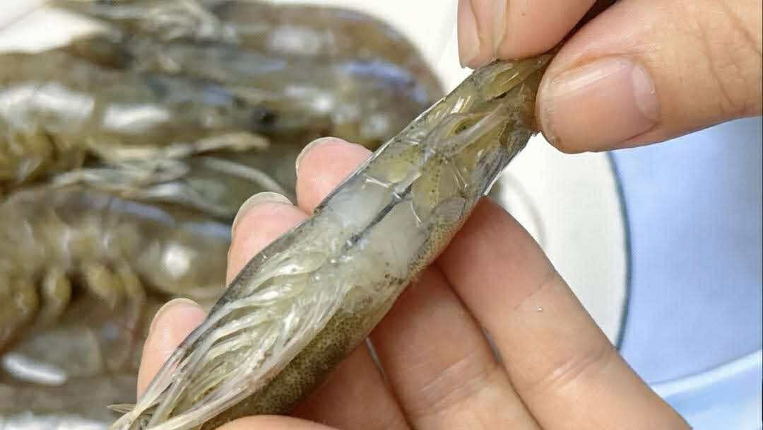 Có nên bỏ chỉ tôm không? Một ngư dân 60 tuổi xua tay &quot;đừng làm thế nữa, chưa đủ đâu!&quot;- Ảnh 3.