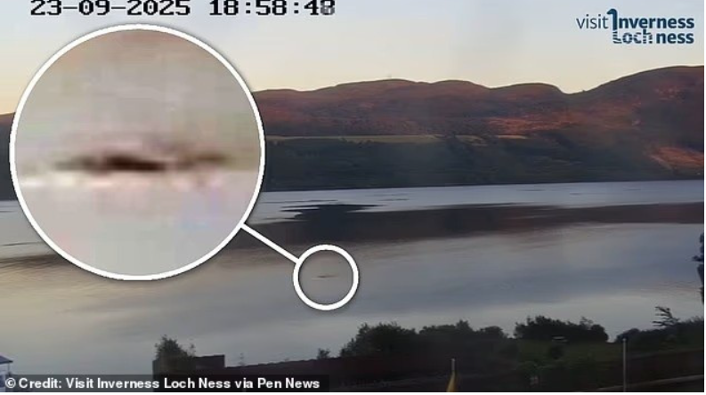 Gặp 'thủy quái' to như xe buýt bơi vùn vụt trên mặt hồ, thợ săn nói: Những gì tôi thấy là độc nhất vô nhị- Ảnh 1. Gặp 'thủy quái' to như xe buýt bơi vùn vụt trên mặt hồ, thợ săn nói: Những gì tôi thấy là độc nhất vô nhị- Ảnh 1.