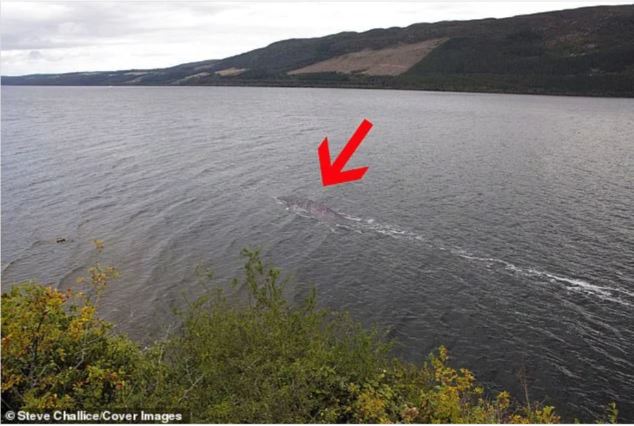Gặp 'thủy quái' to như xe buýt bơi vùn vụt trên mặt hồ, thợ săn nói: Những gì tôi thấy là độc nhất vô nhị- Ảnh 2. Gặp 'thủy quái' to như xe buýt bơi vùn vụt trên mặt hồ, thợ săn nói: Những gì tôi thấy là độc nhất vô nhị- Ảnh 2.