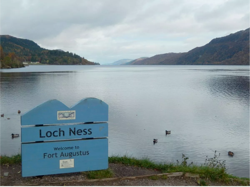 Gặp 'thủy quái' to như xe buýt bơi vùn vụt trên mặt hồ, thợ săn nói: Những gì tôi thấy là độc nhất vô nhị- Ảnh 5. Gặp 'thủy quái' to như xe buýt bơi vùn vụt trên mặt hồ, thợ săn nói: Những gì tôi thấy là độc nhất vô nhị- Ảnh 5.