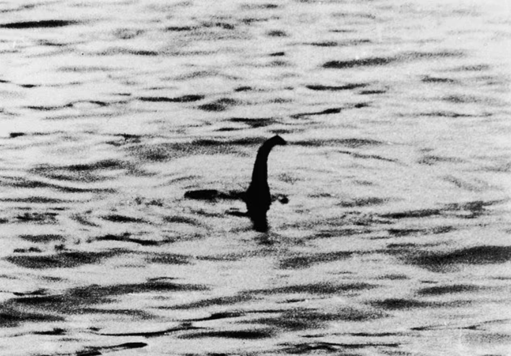 Gặp 'thủy quái' to như xe buýt bơi vùn vụt trên mặt hồ, thợ săn nói: Những gì tôi thấy là độc nhất vô nhị- Ảnh 4. Gặp 'thủy quái' to như xe buýt bơi vùn vụt trên mặt hồ, thợ săn nói: Những gì tôi thấy là độc nhất vô nhị- Ảnh 4.