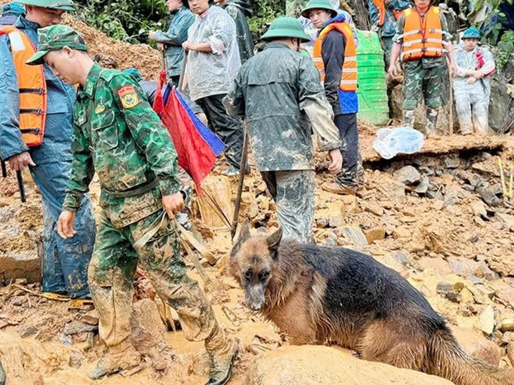 Huy động hơn 200 người và chó nghiệp vụ tìm 4 nạn nhân sạt lở ở Tuyên Quang - Ảnh 2.