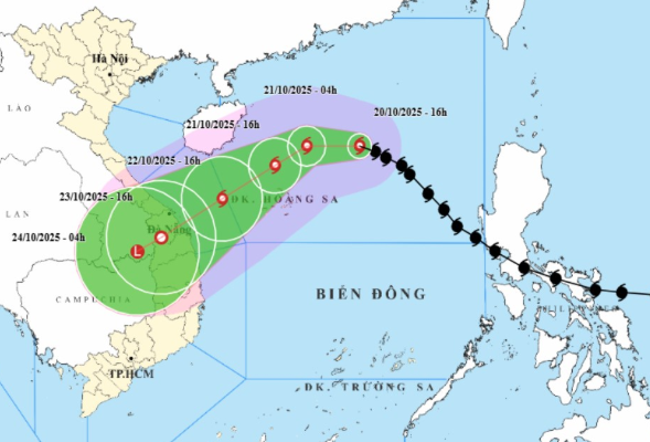 bao-bao-so-12a-1760955725437790087578.png