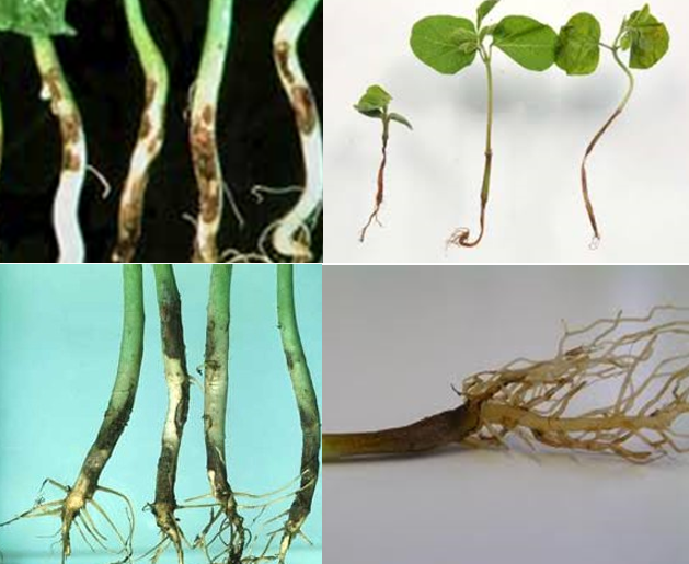 Đây là những dấu hiệu phong thủy cảnh báo xui xẻo đang tìm đến - Ảnh 4. Đây là những dấu hiệu phong thủy cảnh báo xui xẻo đang tìm đến - Ảnh 4.