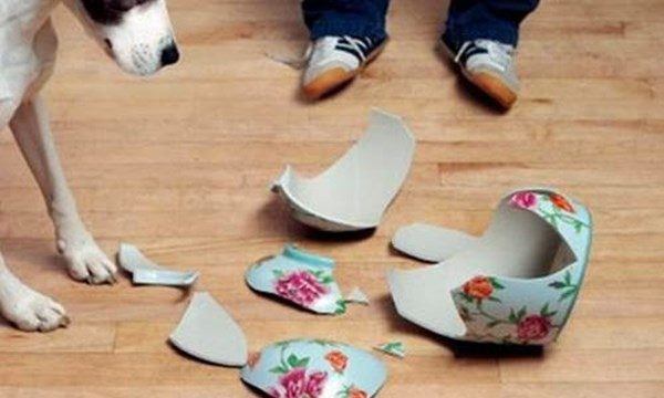 Đây là những dấu hiệu phong thủy cảnh báo xui xẻo đang tìm đến - Ảnh 1. Đây là những dấu hiệu phong thủy cảnh báo xui xẻo đang tìm đến - Ảnh 1.