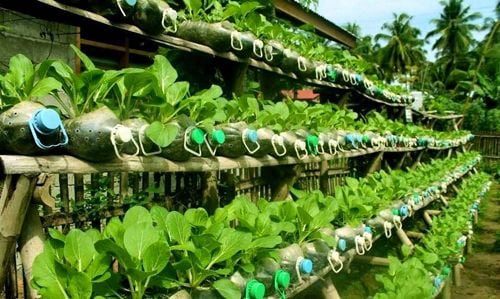 Tiết kiệm thì tiết kiệm, nhưng đừng dùng những loại chai lọ này để đựng thực phẩm nữa, hãy vứt bỏ ngay! - Ảnh 7. Tiết kiệm thì tiết kiệm, nhưng đừng dùng những loại chai lọ này để đựng thực phẩm nữa, hãy vứt bỏ ngay! - Ảnh 7.
