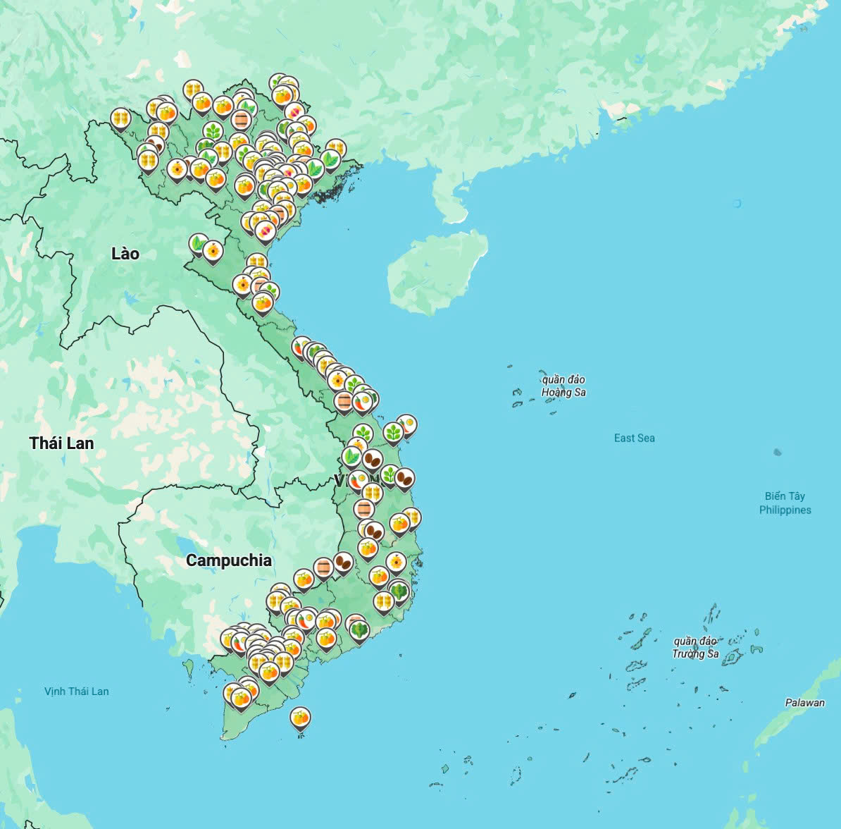 Bảo vệ người tiêu dùng trong Tuần lễ nông sản Việt 2025 tại Hà Nội - Ảnh 2. Bảo vệ người tiêu dùng trong Tuần lễ nông sản Việt 2025 tại Hà Nội - Ảnh 2.