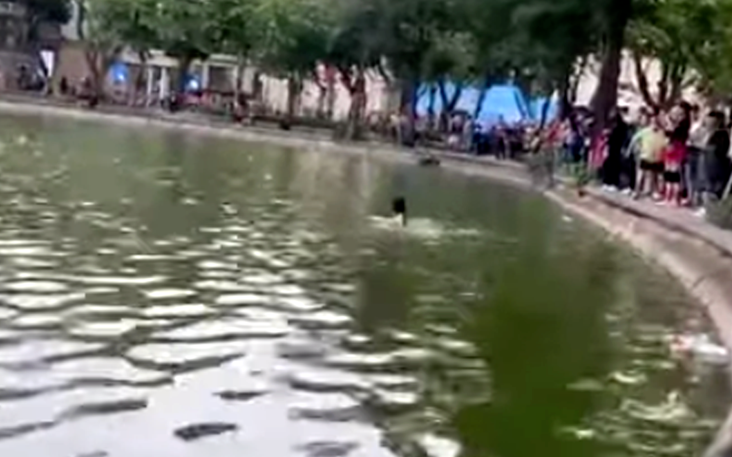 Hà Nội: Cô gái cởi bỏ quần áo, nhảy xuống hồ Hoàn Kiếm rồi đuối nước tử vong