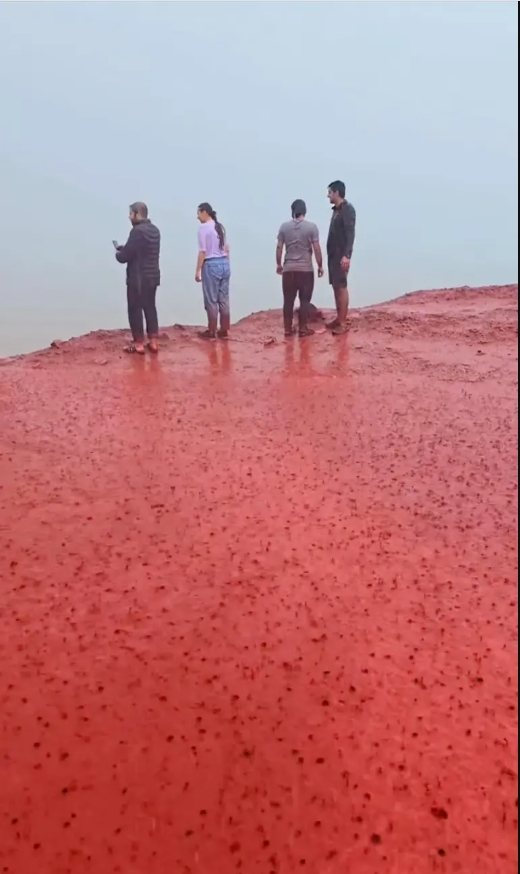 Sau trận mưa kỳ lạ, bãi biển bất ngờ nhuộm đỏ như máu, cơ quan lữ hành nói: Liên quan tới tên gọi nơi này- Ảnh 2.