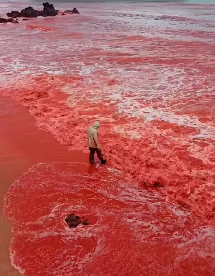 Sau trận mưa kỳ lạ, bãi biển bất ngờ nhuộm đỏ như máu, cơ quan lữ hành nói: Liên quan tới tên gọi nơi này- Ảnh 4.