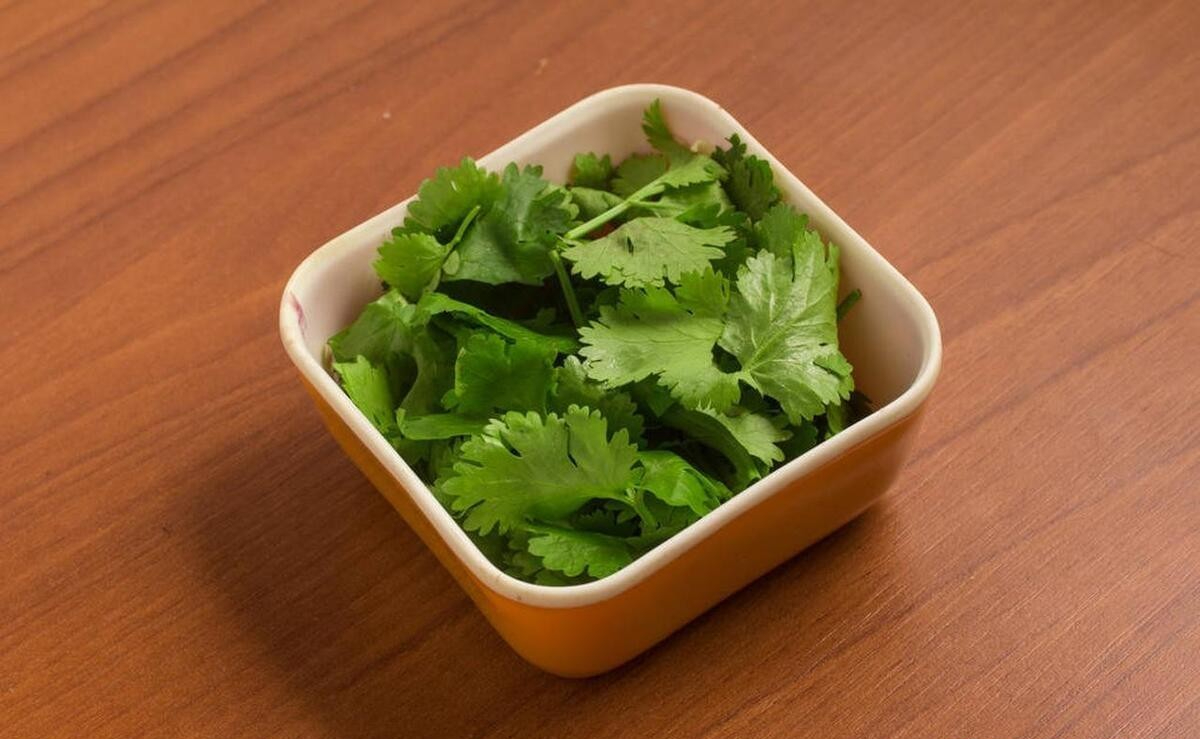 Nhiều người sai lầm khi bảo quản rau mùi trong tủ lạnh: Đầu bếp nhà hàng hướng dẫn 1 mẹo giữ rau mùi tươi lâu- Ảnh 4. Nhiều người sai lầm khi bảo quản rau mùi trong tủ lạnh: Đầu bếp nhà hàng hướng dẫn 1 mẹo giữ rau mùi tươi lâu- Ảnh 4.