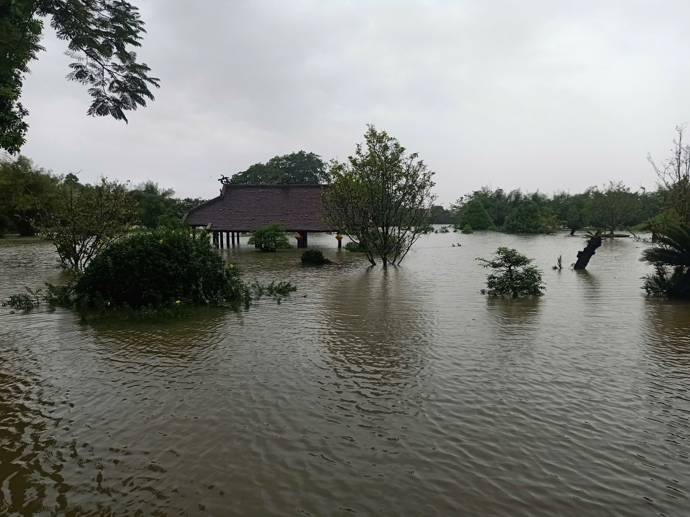 Cảnh lũ lớn 'bao vây' khu vực Đại Nội và hệ thống Di sản Huế - Ảnh 5.