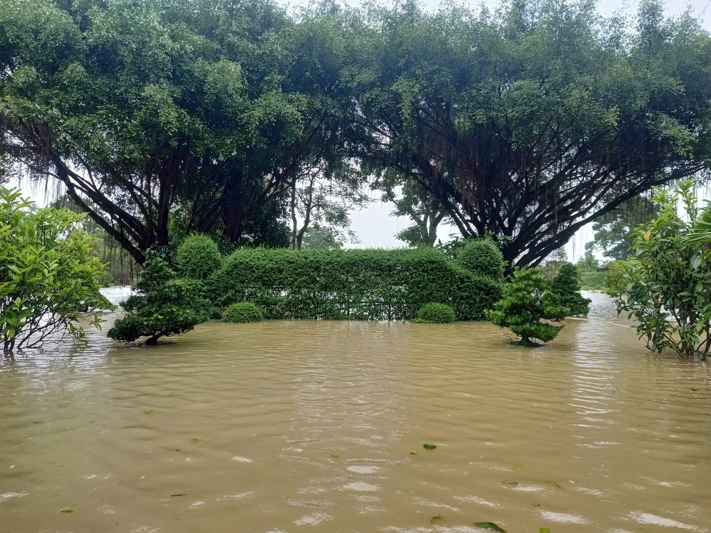 Cảnh lũ lớn 'bao vây' khu vực Đại Nội và hệ thống Di sản Huế - Ảnh 6.