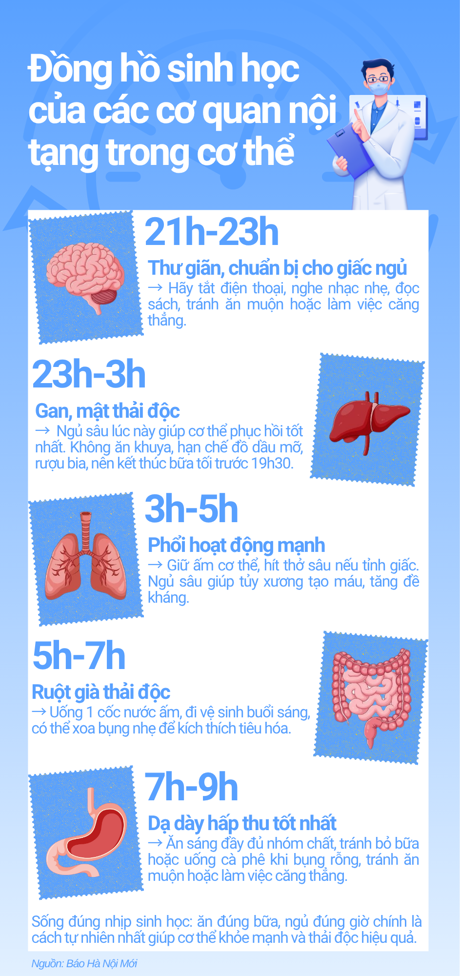 Đồng hồ sinh học của cơ thể - ngủ, ăn, nghỉ đúng lúc để sống khỏe mỗi ngày - Ảnh 1.