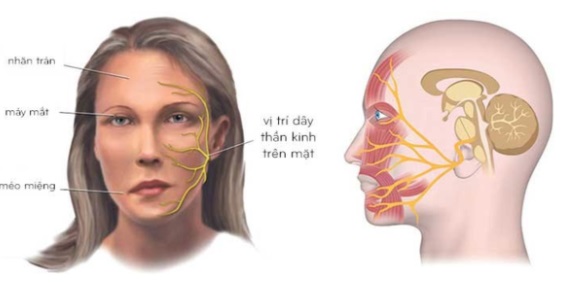 Thanh niên 23 tuổi ở Hà Nội méo miệng, liệt dây thần kinh số 7 thừa nhận mắc sai lầm này khi tắm đêm - Ảnh 2. Thanh niên 23 tuổi ở Hà Nội méo miệng, liệt dây thần kinh số 7 thừa nhận mắc sai lầm này khi tắm đêm - Ảnh 2.