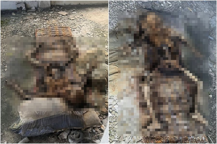 Điện thoại đánh mất bỗng được trả lại, chủ nhân rụng rời khi thấy loạt ảnh kỳ quái bên trong - Ảnh 1.