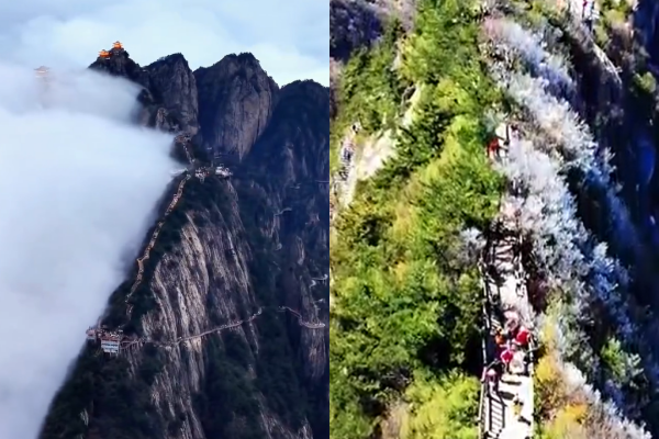 Khung cảnh &quot;đường phân chia âm dương&quot; đẹp đến nín thở, hai mùa cách nhau chỉ một sợi chỉ- Ảnh 1.