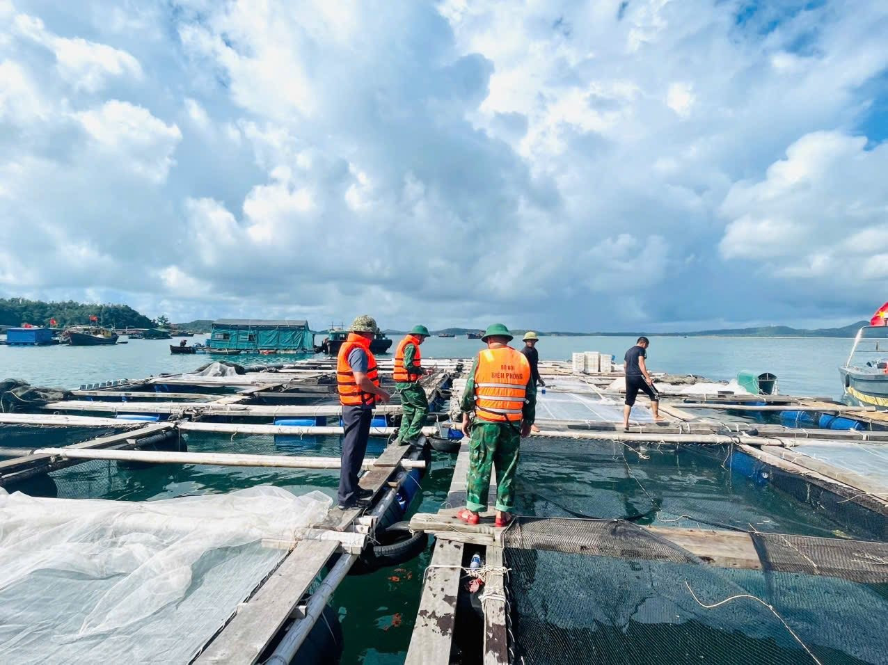 Quảng Ninh huy động hàng chục nghìn người, phương tiện ứng trực bão số 11 - Ảnh 2.