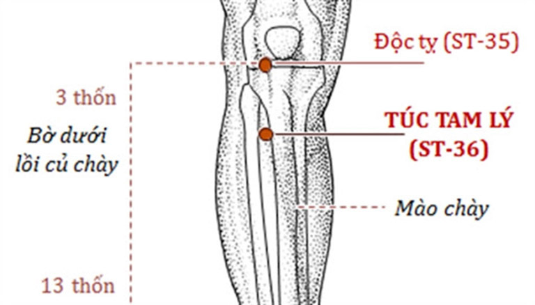 huyet-doc-ty-1759710865645503439826-1759764623240-17597646239042054813489.jpg