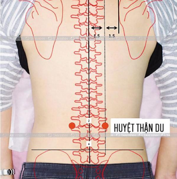 huyet-than-du-bam-huyet-chua-dau-lung-e1594870505956-17597109916621587710657-1759764626365-1759764626627459525736.jpg
