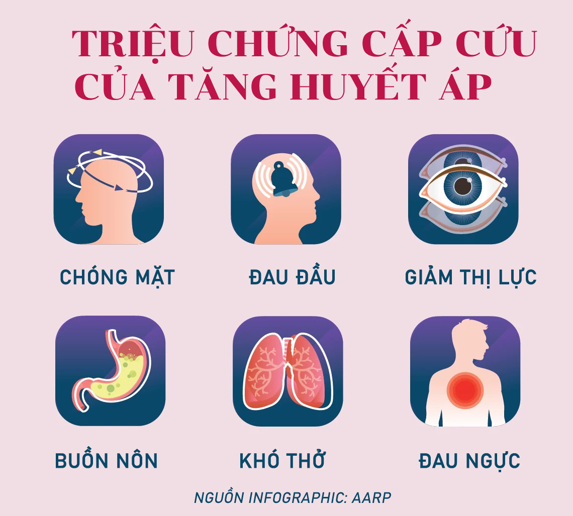 info-vnn-tang-huyet-ap-2302-1759769635740-17597696363001499954770.jpg
