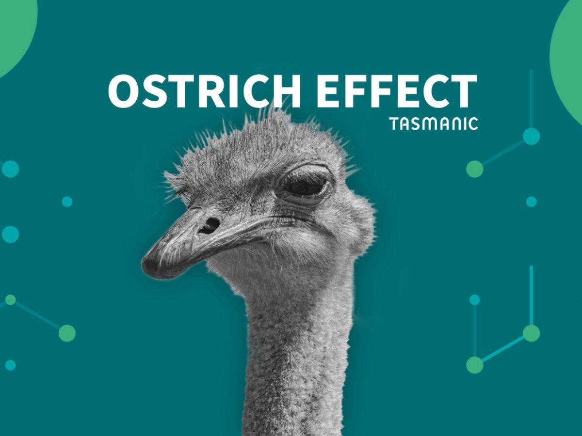 ostrich-effect-1200x900-1759719163652246895633-1759796226702-17597962269632056220389.jpg