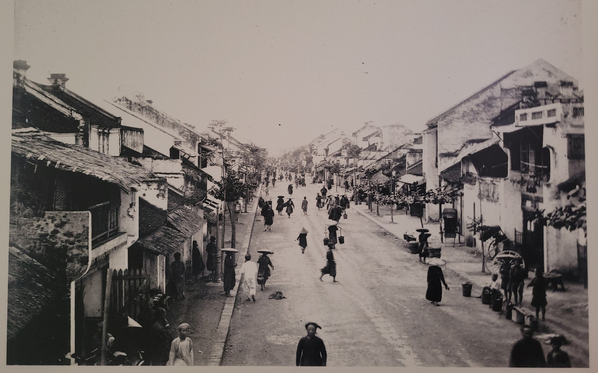 cong-ty-co-phan-dong-xuan-cho-dong-xuan-20251008092612-1759922084045993580462-146-0-1746-2560-crop-17599232388432077518192.jpg
