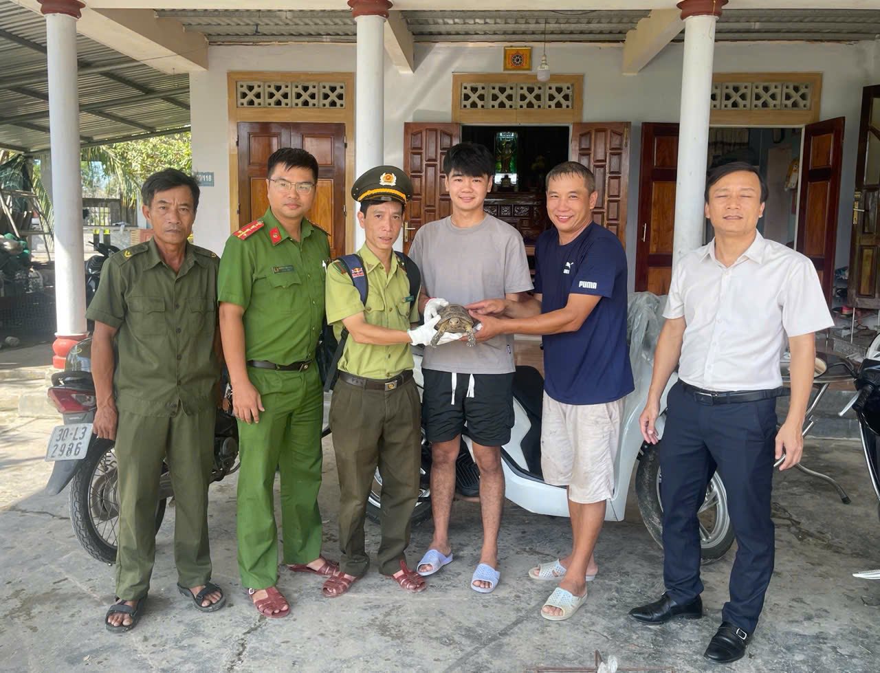 rua-nui-vang-quy-hiem-bat-ngo-lac-vao-vuon-nha-dan-1760004040102614262374.jpeg
