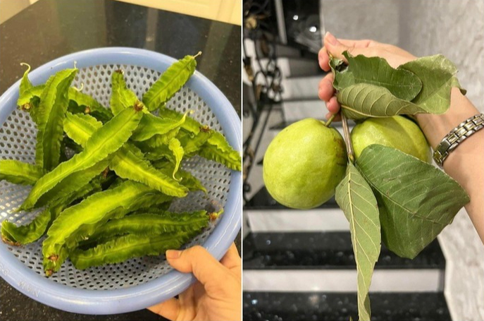 Cẩm Ly sống cực chill trong biệt thự tiền tỷ sau biến cố bệnh tật - Ảnh 14. Cẩm Ly sống cực chill trong biệt thự tiền tỷ sau biến cố bệnh tật - Ảnh 14.