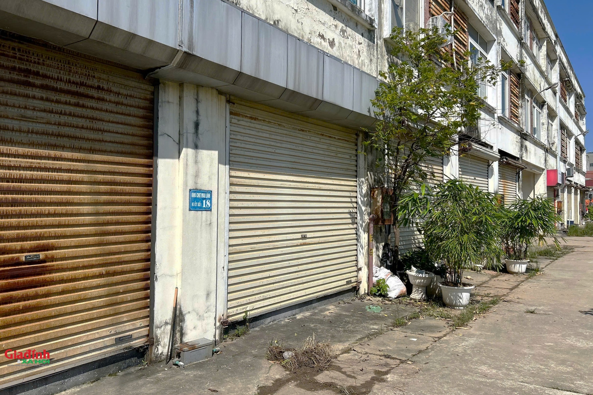 Hiện trạng chợ bỏ hoang ở Hà Nội và dự án nhà ở xã hội tiềm năng - Ảnh 4.