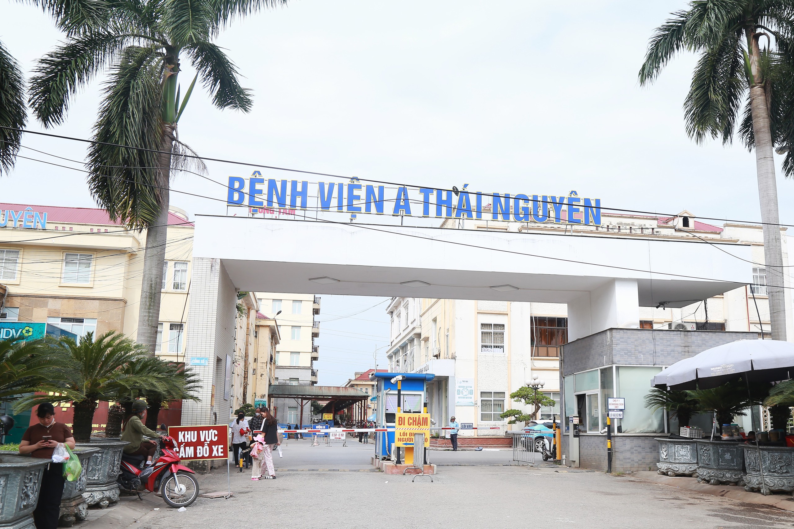 Từng 'ngồi cách bệnh nhân hai mét' đến hơn hai thập kỷ giành giật sự sống người từ 'án tử' - Ảnh 10. Từng 'ngồi cách bệnh nhân hai mét' đến hơn hai thập kỷ giành giật sự sống người từ 'án tử' - Ảnh 10.