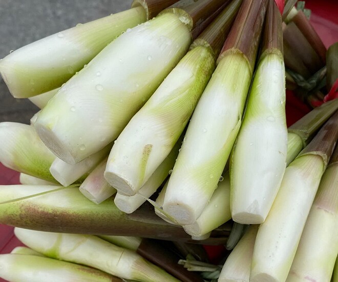 Củ niễng - đặc sản thơm ngon như sâm trong nước của việt nam - Ảnh 1.